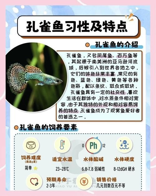 孔雀魚的價格差異大嗎？