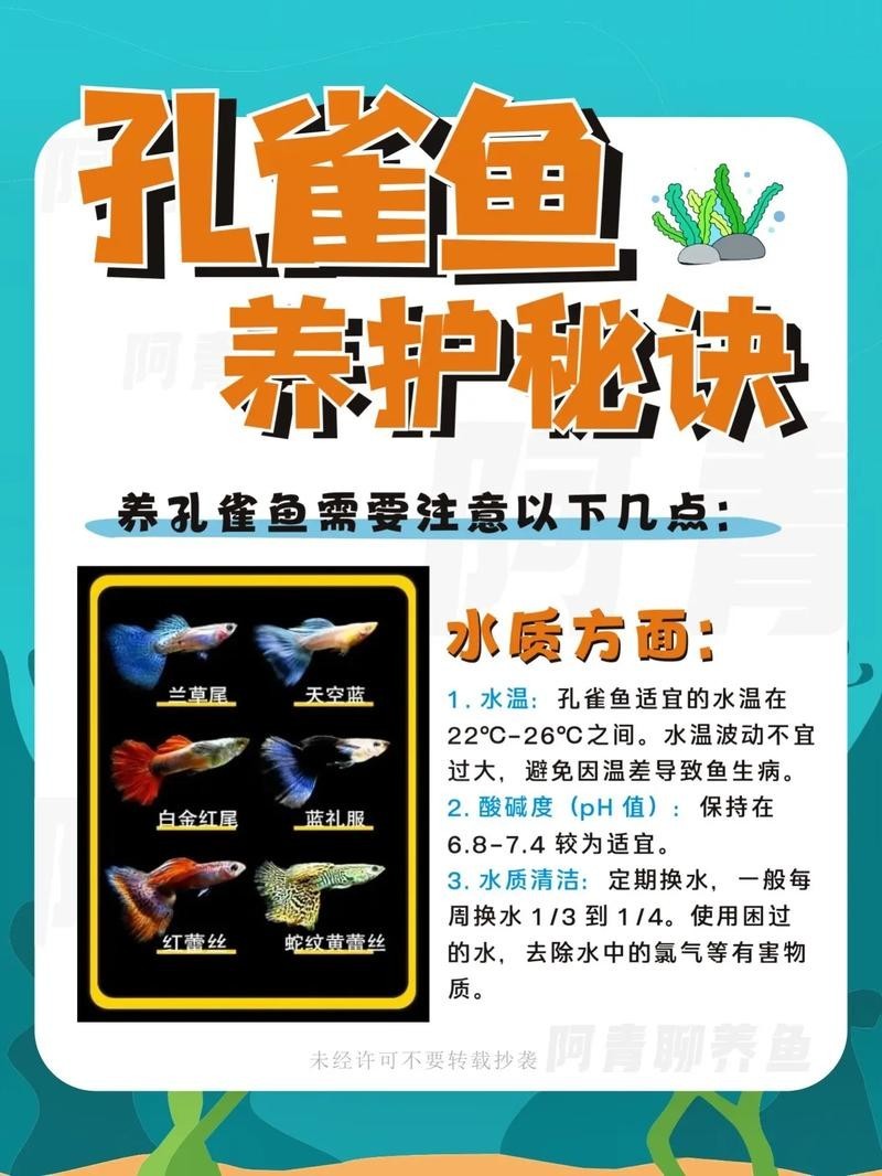 孔雀魚的價格差異大嗎？