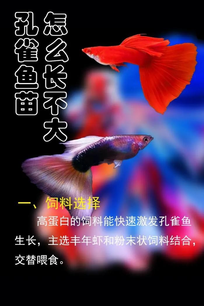 孔雀魚的價格差異大嗎？