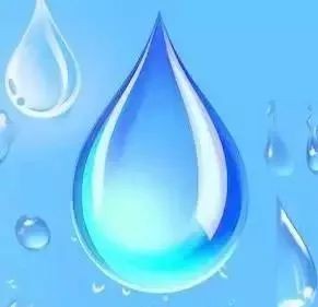 如何獲取更多水族展會(huì)信息？