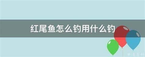 紅尾魚一天最佳開口時間