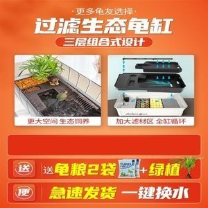 鱷龜魚缸造景的要點：鱷龜魚缸造景的藝術與科學魚缸造景：如何打造鱷龜友好型魚缸造景 鱷龜魚缸造景的要點：鱷龜魚缸造景的藝術與科學魚缸造景：如何打造鱷龜友好型魚缸造景 魚缸百科 第1張