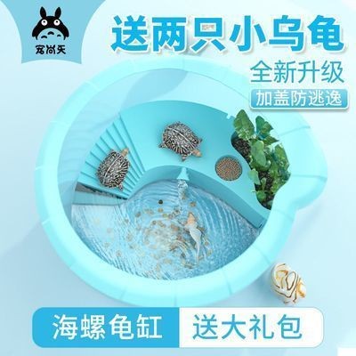 鱷龜魚缸造景的要點：鱷龜魚缸造景的藝術與科學魚缸造景：如何打造鱷龜友好型魚缸造景 鱷龜魚缸造景的要點：鱷龜魚缸造景的藝術與科學魚缸造景：如何打造鱷龜友好型魚缸造景 魚缸百科 第4張