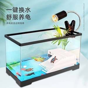 鱷龜魚缸造景的要點：鱷龜魚缸造景的藝術與科學魚缸造景：如何打造鱷龜友好型魚缸造景 鱷龜魚缸造景的要點：鱷龜魚缸造景的藝術與科學魚缸造景：如何打造鱷龜友好型魚缸造景 魚缸百科 第3張