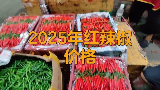 2025年紅龍23色素辣椒什么價