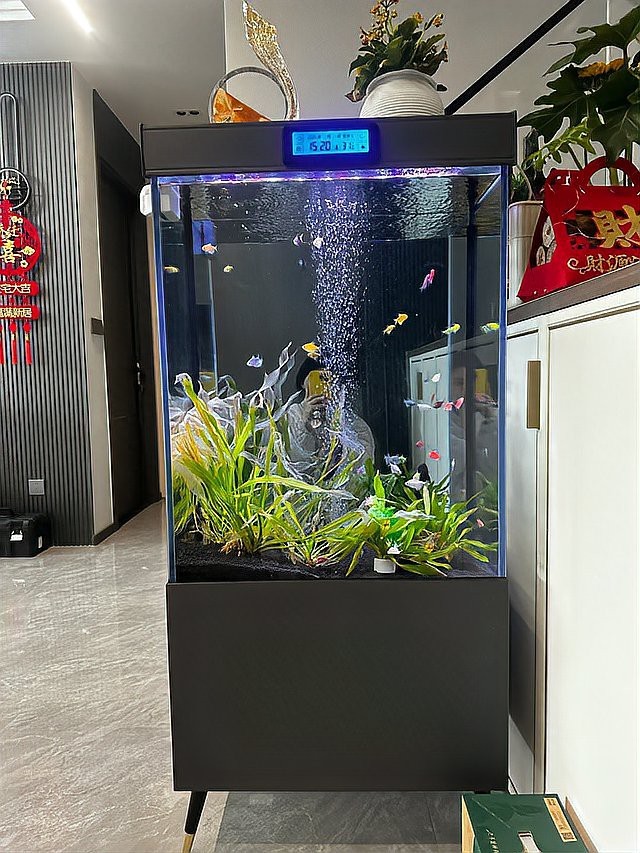 魚(yú)缸最忌三個(gè)地方