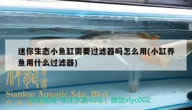 魚缸水泵怎么安（魚缸水泵維護技巧外部循環泵使用方法魚缸水泵故障排查）