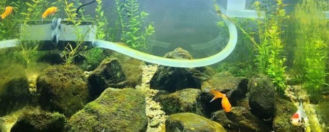魚缸增氧泵需要24小時開著嗎（魚缸增氧泵需要24小時開嗎魚缸增氧泵需要24小時開著嗎）