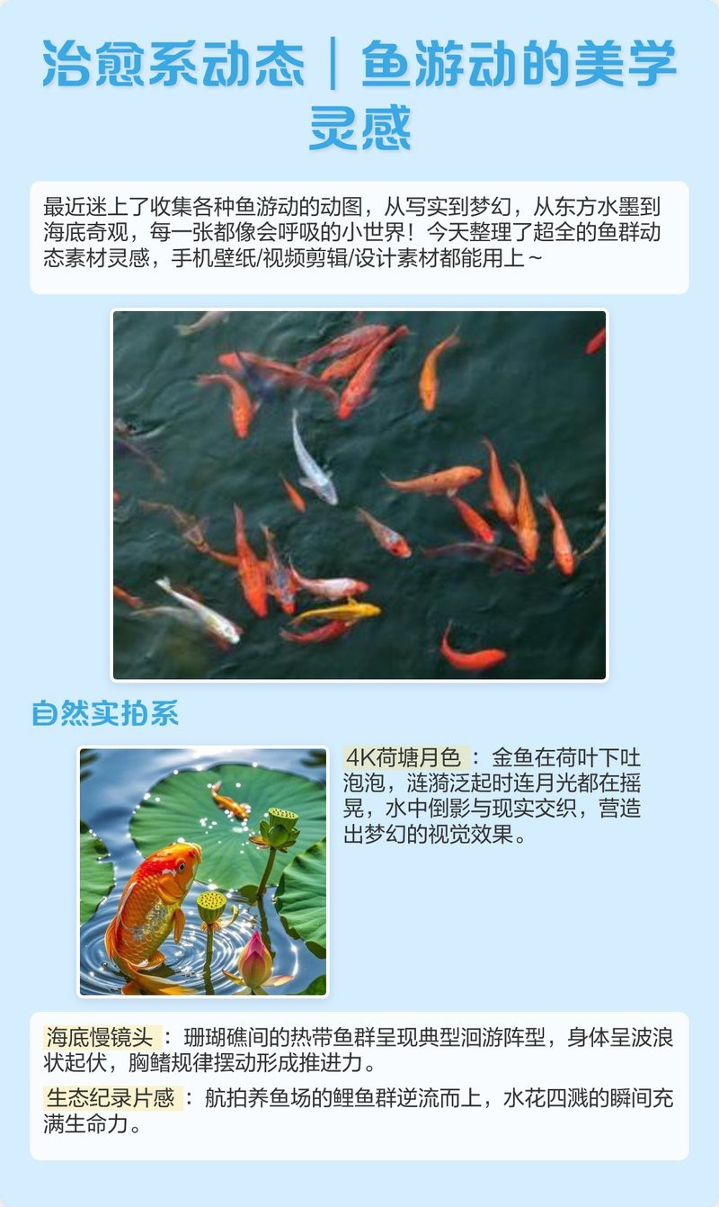 2025年魚動態(tài)壁紙圖片 2025年魚動態(tài)壁紙圖片 龍魚論壇 第1張