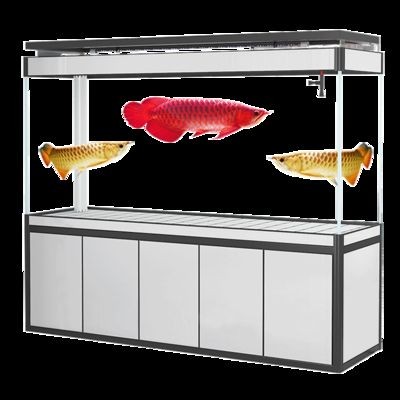 江彩魚缸怎么樣好養(yǎng)嗎：無法直接評價(jià)江彩魚缸品牌是否值得信賴江彩魚缸品牌