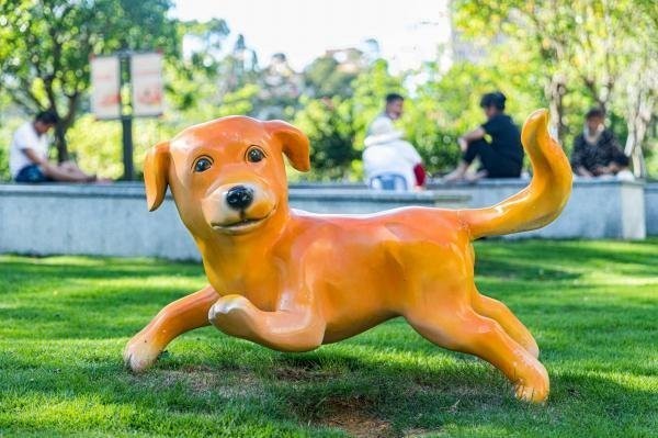 如何參加國際寵物用品展會？