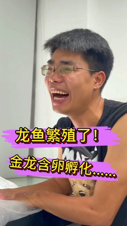 火龍魚的卵長什么樣子？圖片