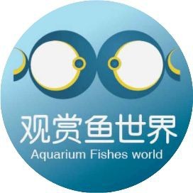 紅龍魚怎么發色好