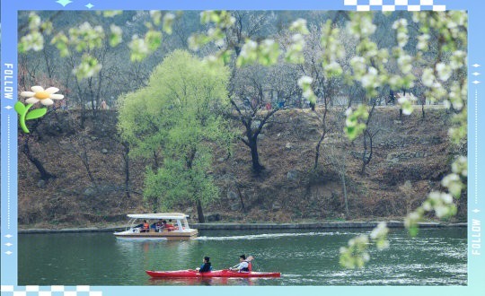 水長城能帶寵物嗎