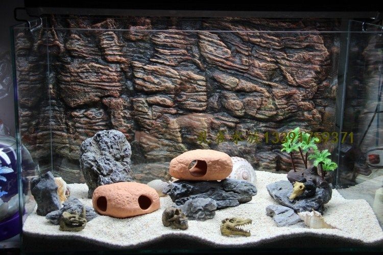 異形魚缸布景：異形魚缸布景風格選擇，異形魚缸特殊材料使用，異形魚缸階梯式造景方法
