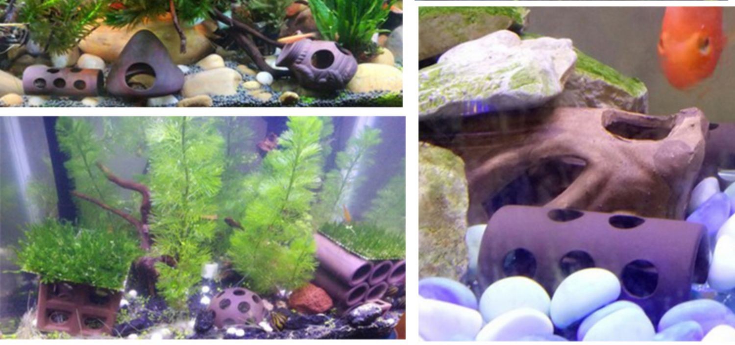 異形魚缸布景：異形魚缸布景風格選擇，異形魚缸特殊材料使用，異形魚缸階梯式造景方法