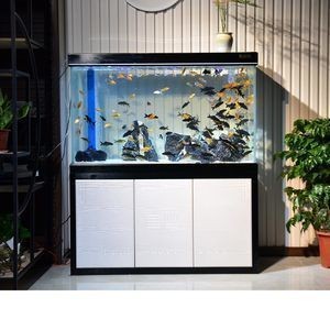 金晶魚缸怎么樣：金晶魚缸以其獨特的材料和優質的材料和良好的市場口碑