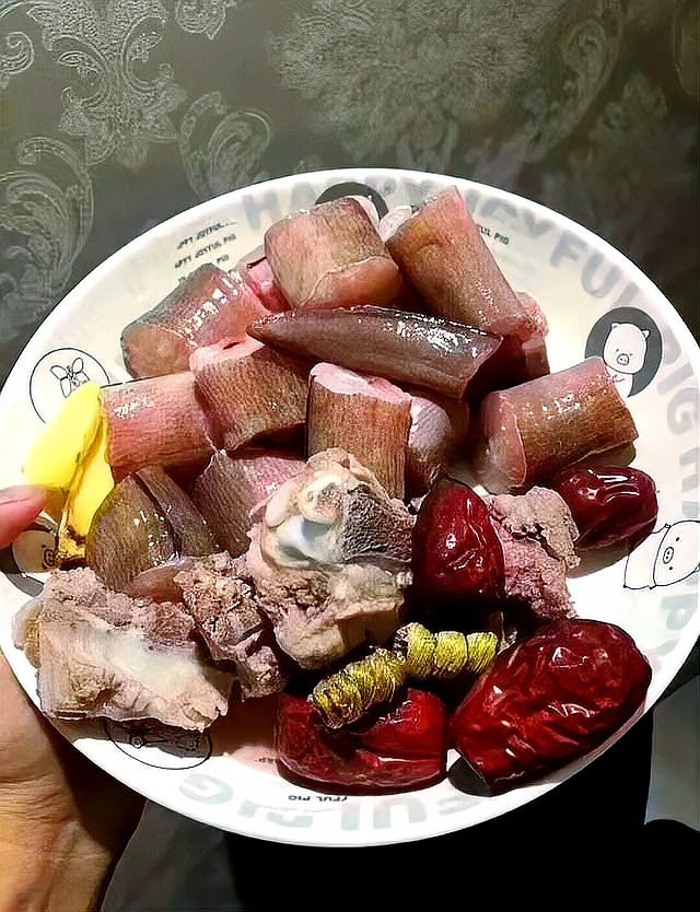 海南土龍魚圖片大全欣賞