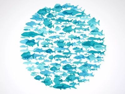 龍魚和虎魚怎樣搭配養殖：龍魚和虎魚怎樣搭配養殖龍魚和虎魚的搭配養殖需要注意以下幾個因素