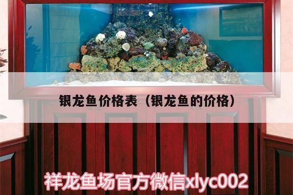 銀龍魚價格表（銀龍魚的價格）