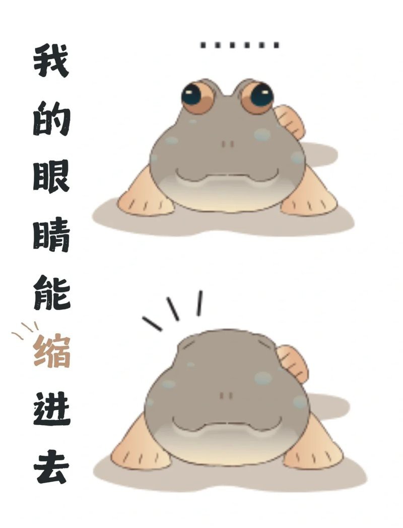 彈涂魚品種大全
