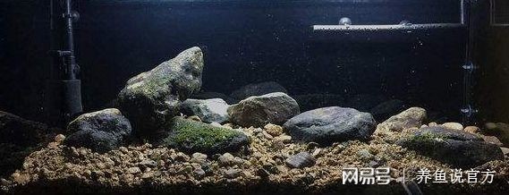 魚缸底砂對(duì)水質(zhì)影響：魚缸底砂對(duì)水質(zhì)的影響