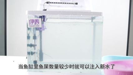 魚(yú)缸還用換水嗎（魚(yú)缸是否需要換水）