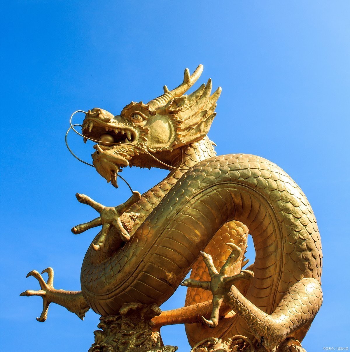 金龍在其他文化中的象征意義是什么？
