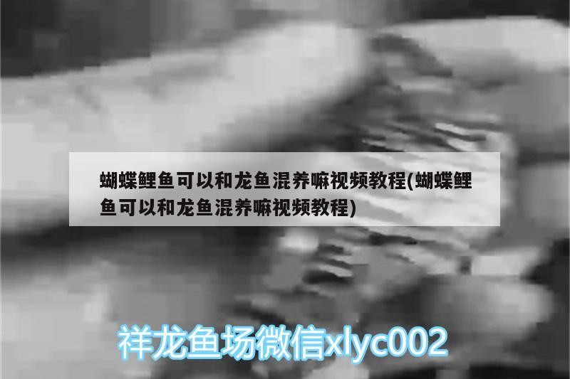 港閘區匯龍海水族館