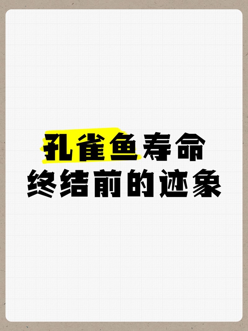 如何判斷孔雀魚是否健康？