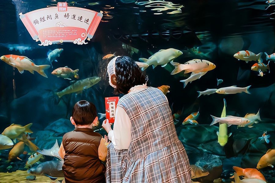 如何參加這些水族寵物展？