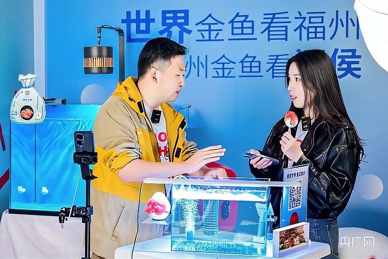 介紹一下閩侯金魚