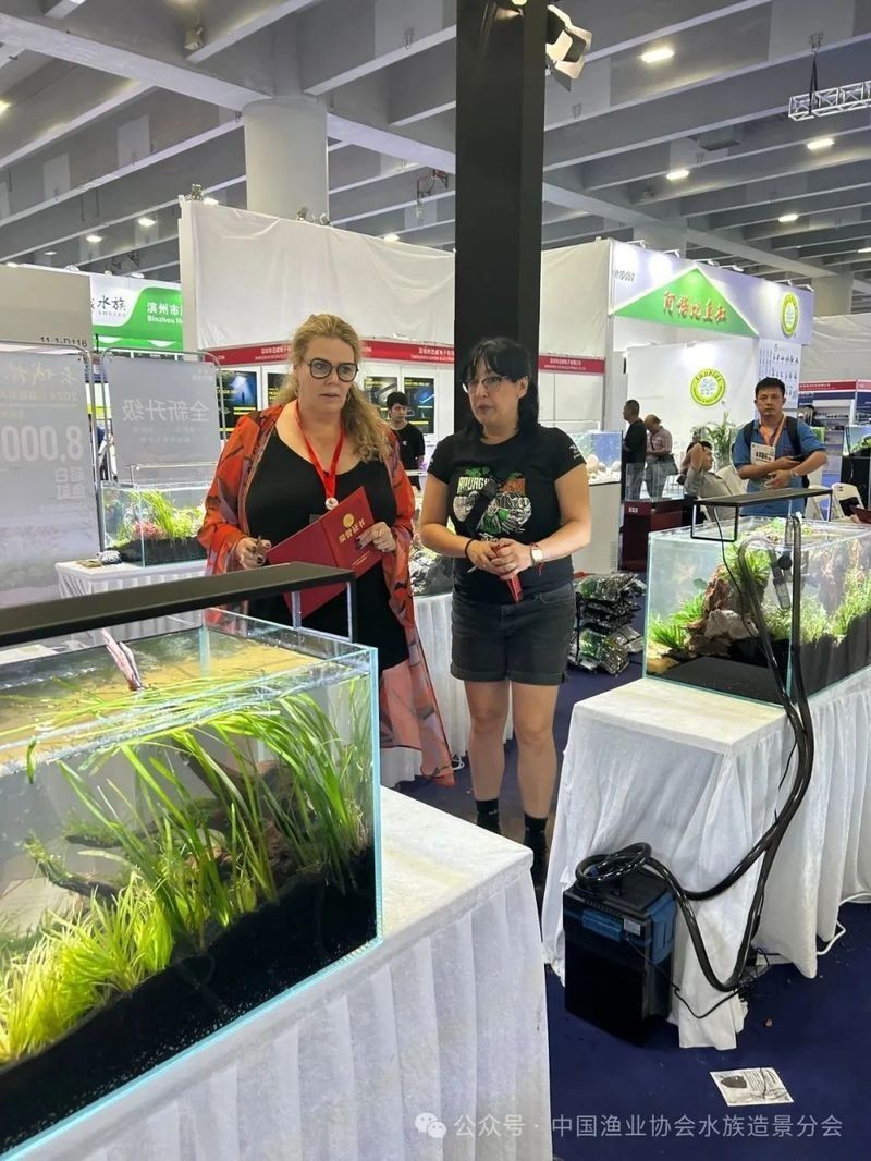 長城中部水族展有哪些參展商？