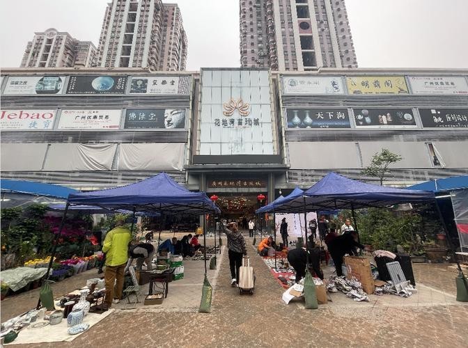 廣州龍魚市場的價格范圍是多少？