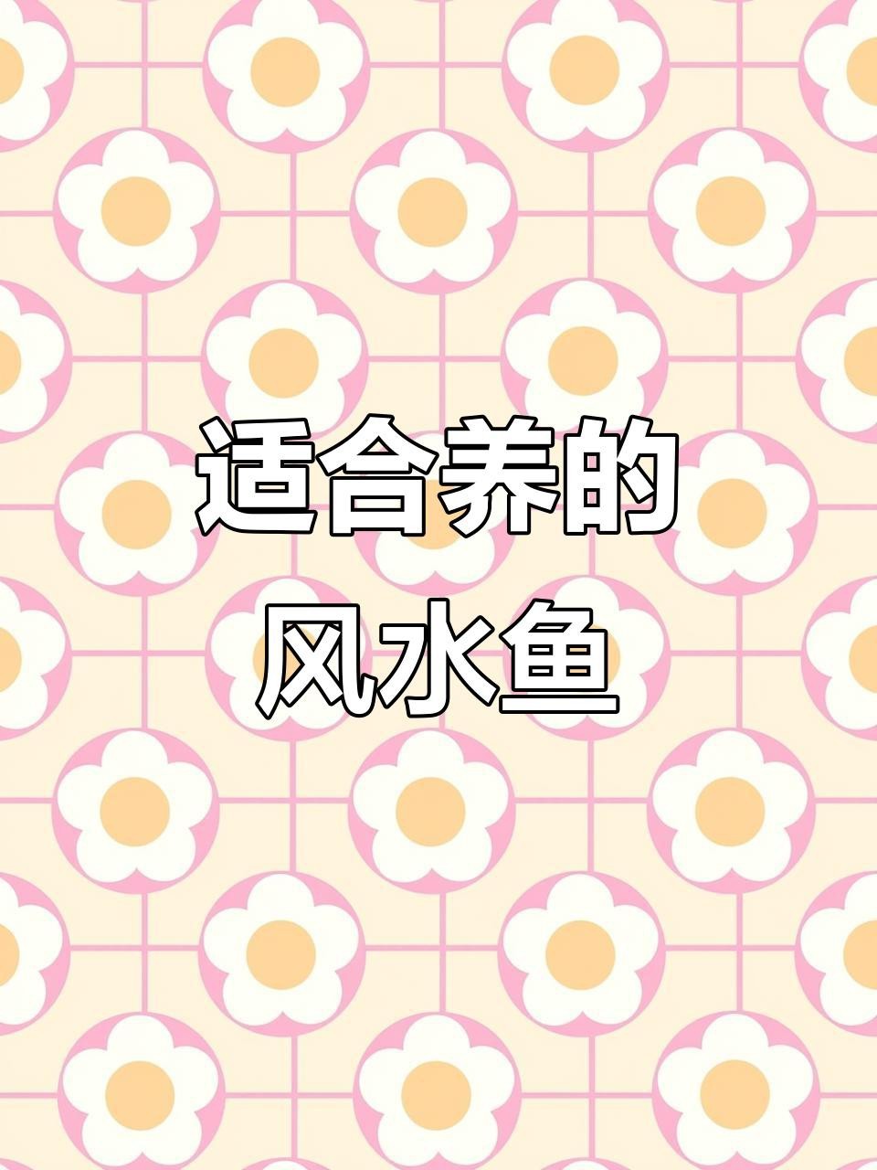 除了龍魚，還有哪些風水魚