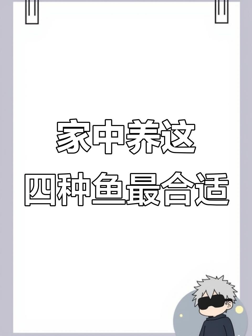 除了龍魚，還有哪些風水魚