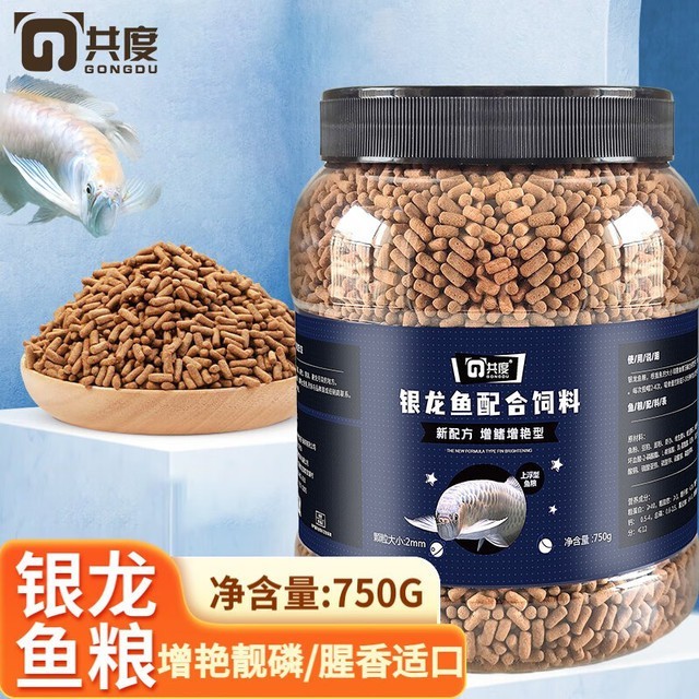 銀龍魚飼養成本高嗎？