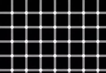 無錫市南長區(qū)錫利水族館（無錫市南長區(qū)錫利水族館地址）