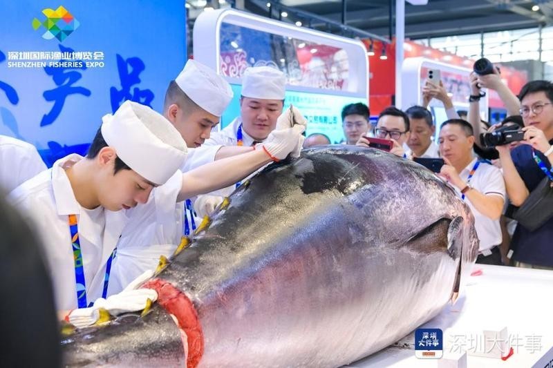 2025年還有哪些觀賞魚(yú)展會(huì)？