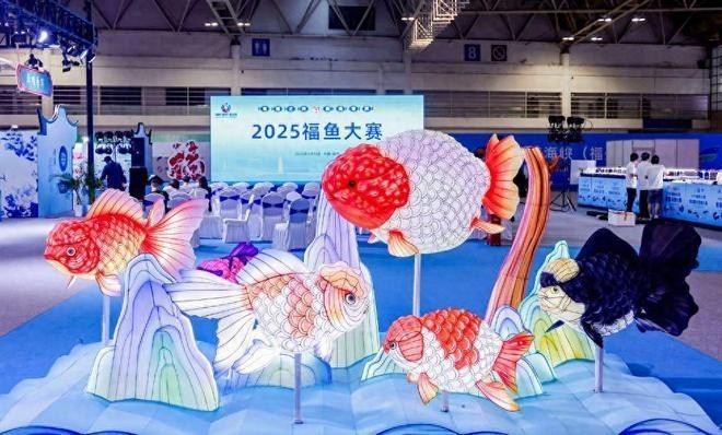 2025年福魚(yú)大賽的籌備進(jìn)展