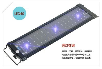 魚缸燈壞了怎么換：如何更換魚缸燈