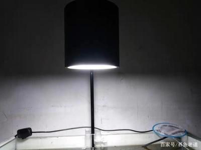 魚缸燈壞了怎么換：如何更換魚缸燈