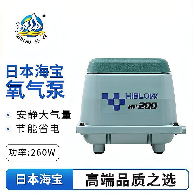 銀龍魚體型(銀龍魚體型挑選)