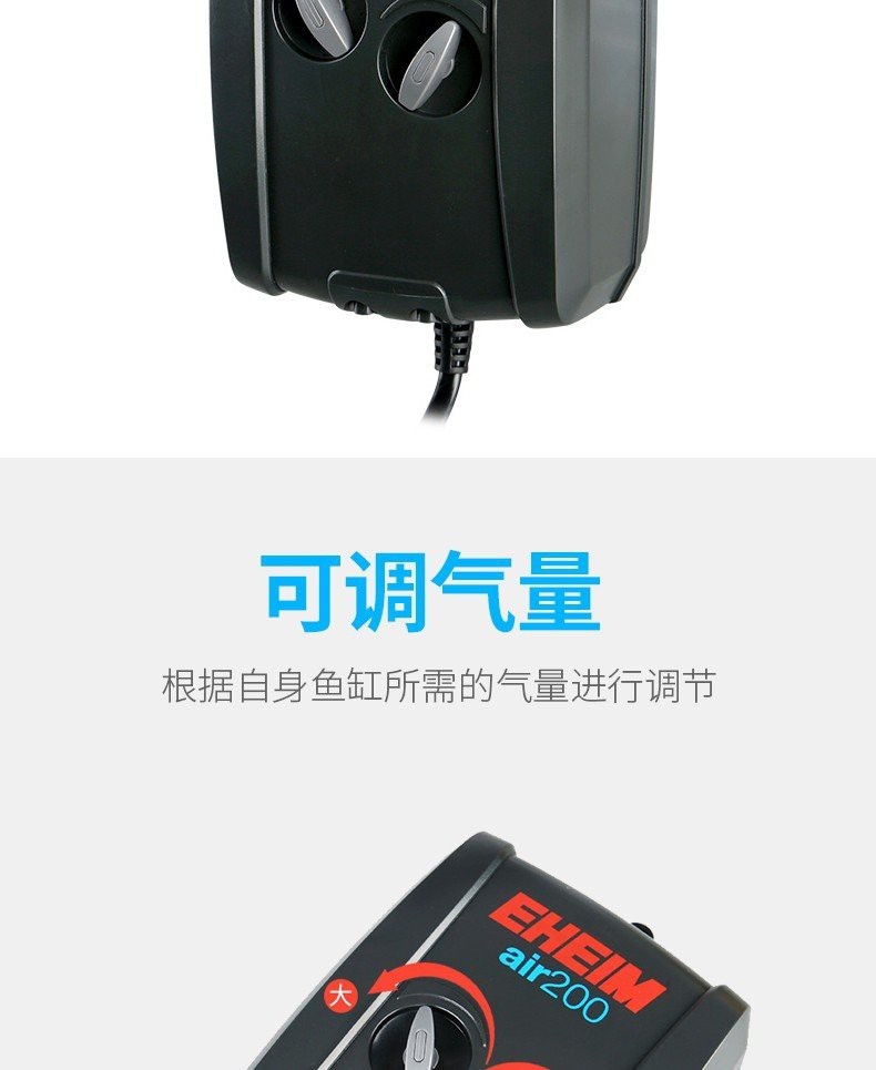 銀龍魚體型(銀龍魚體型挑選)