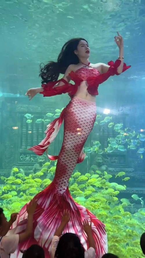 紅尾美人魚圖片