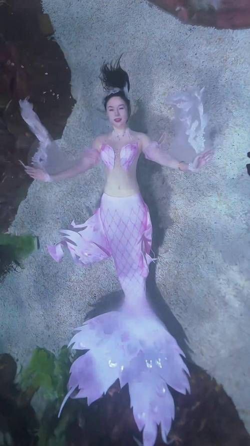 紅尾美人魚圖片