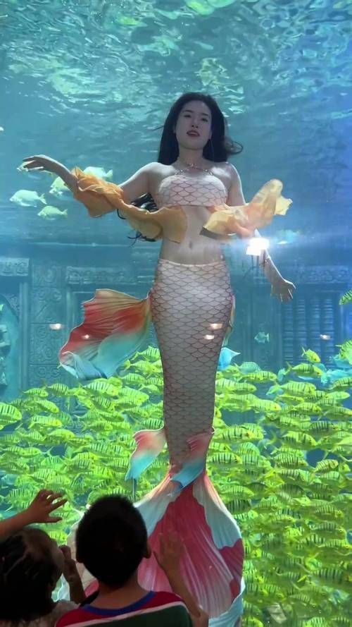 紅尾美人魚圖片