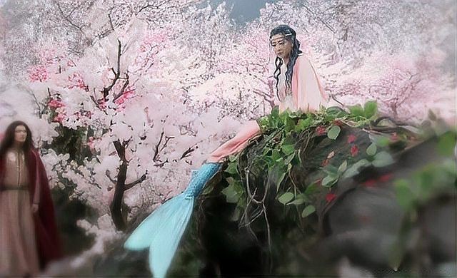 紅尾美人魚圖片