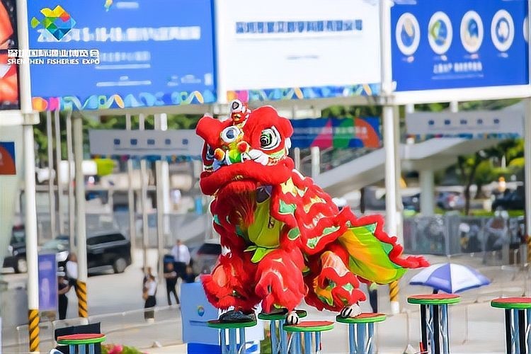 2024年深圳還有哪些龍魚相關活動？