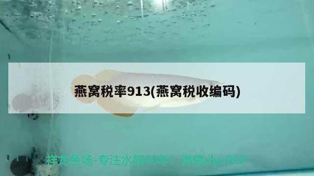 銀龍魚會攻擊其他魚嗎為什么（銀龍魚有攻擊性嗎）